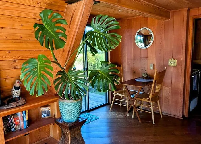 A-Frame Cabin With Sauna Deja Vu